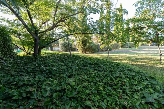Vive en el campo con todas las comodidades de la ciudad — 31