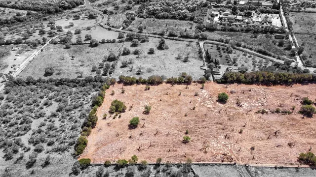 Finca rústica con proyecto de vivienda unifamiliar en Sa Gru - foto 4