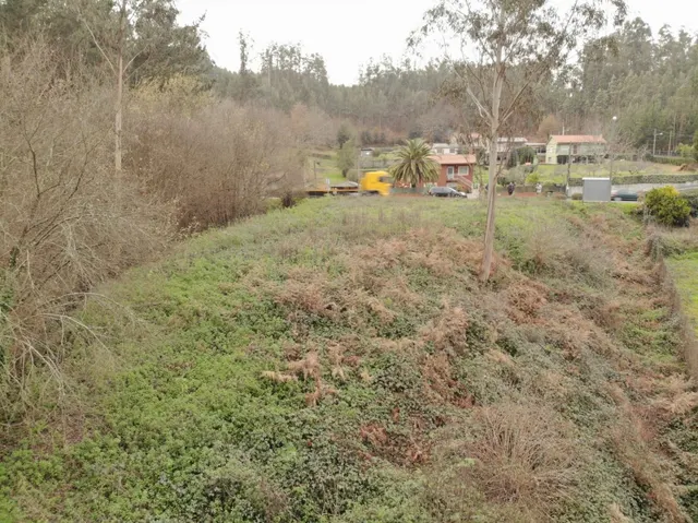 Finca Urbana en OzaCesuras — 7
