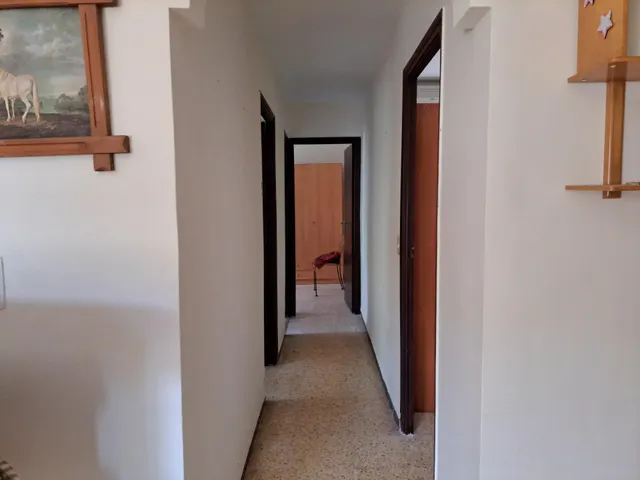 Casa de campo con gran parcela — 43
