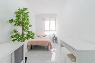 Co-Living  - Ideal Inversionistas — 16