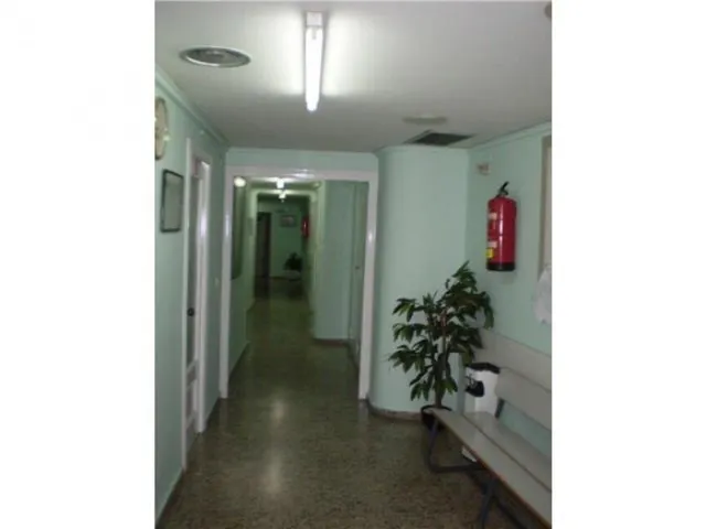 ESPECTACULAR LOCAL EN CENTRO DE GANDIA CON ENTRADA EXCLUSIVA PARA TODO TIPO DE NEGOCIOS O VIVIENDAS — 6