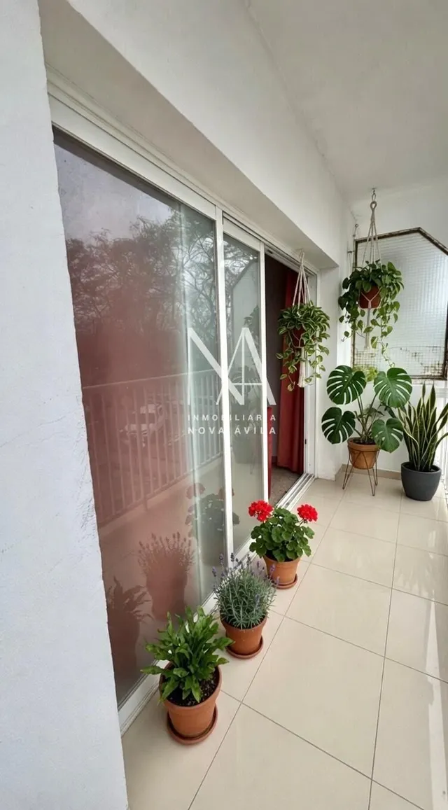 PISO OCIMAX — 8