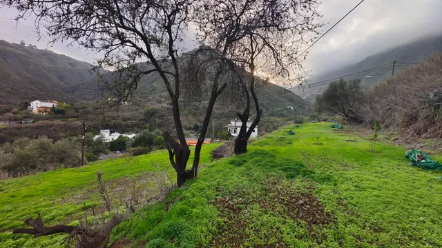 Terreno rural en venta - La yedra gran canaria — 8