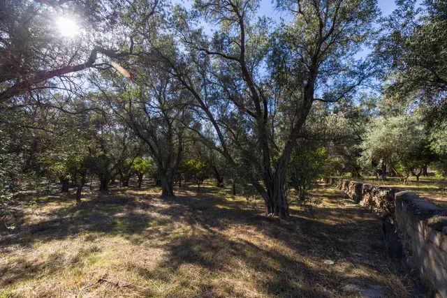 FINCA RUSTICA EN LA VEGUETA, PINOS DEL VALLE!! — 17