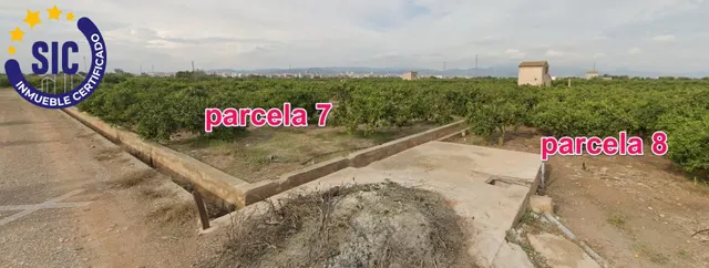 FINCAS RÚSTICA 24 HANEGADAS DE CLEMENTINA EN PRODUCCIÓN CON MASIA Y POZO MUY CERCA DE LA CIUDAD — 15