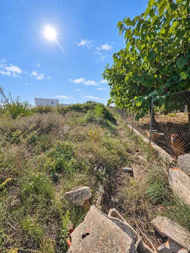 Finca rústica de 6.705 m2 en la zona de els ullals de baltasar, Amposta — 8