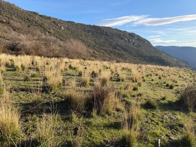 Bubión. Finca rústica de riego en la vega a solo 100 metros  - foto 4