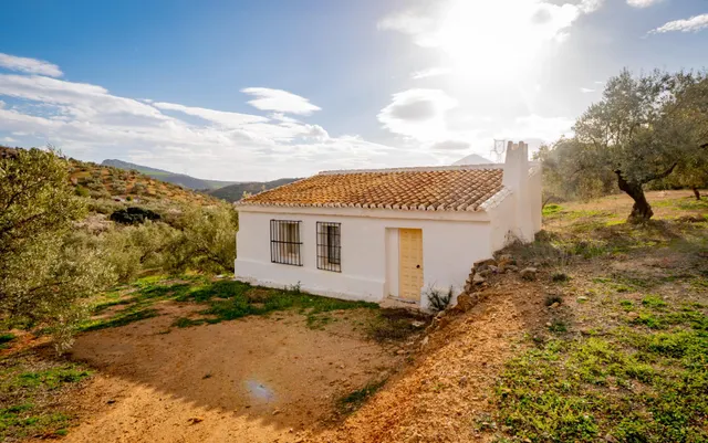 VENTA DE FINCA RUSTICA EN LA ZONA DE LA SIERRA DEL TORCAL — 7