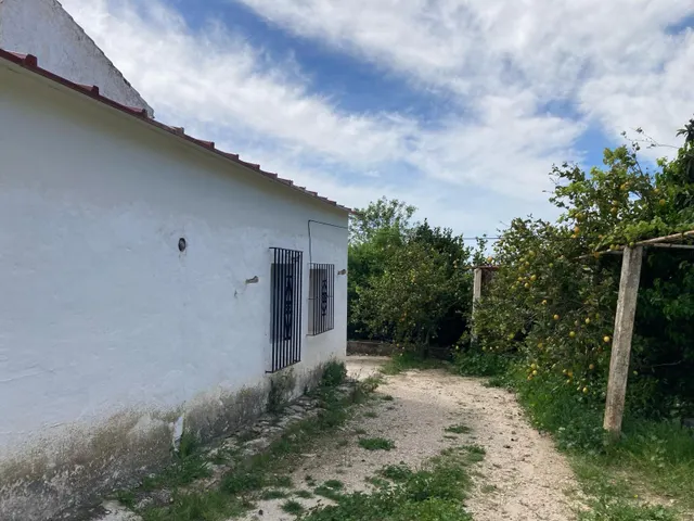 Casa con Terreno en La Joya — 15