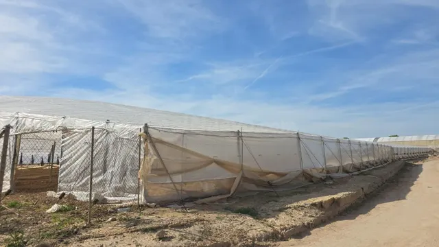 Piso en venta - Zona Pueblo — 5