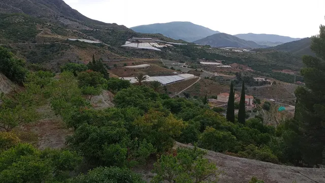 Cortijo en Molvizar — 15