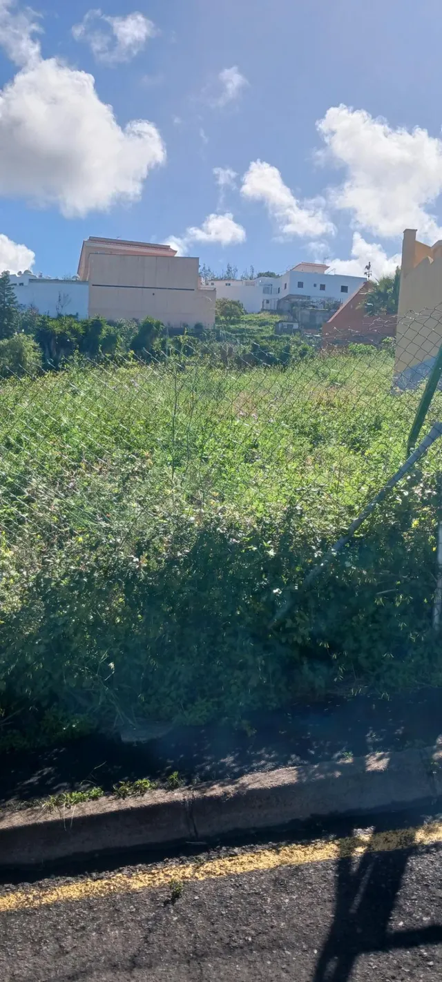 SOLAR URBANO EN EL SAUZAL — 11