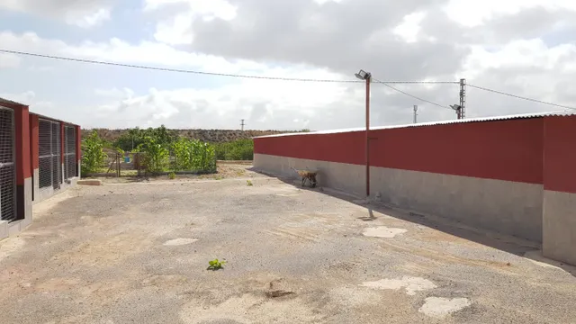 SE VENDE FINCA RÚSTICA DE 27.000 m Los Montesinos — 13