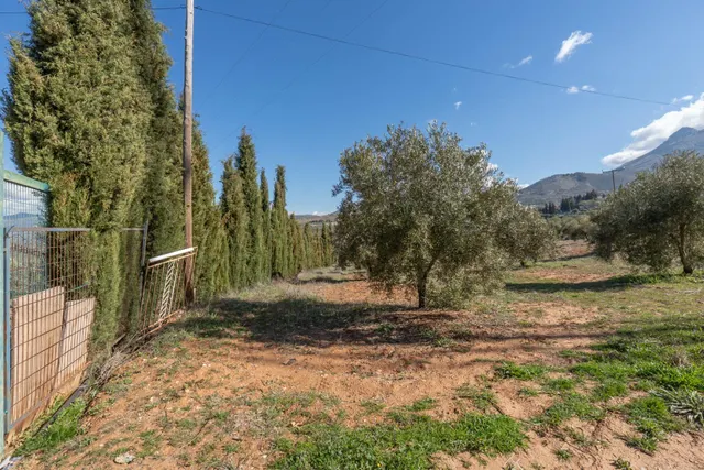 Terreno rústico en Cogollos Vega, con toma de luz y agua en la entrada — 18