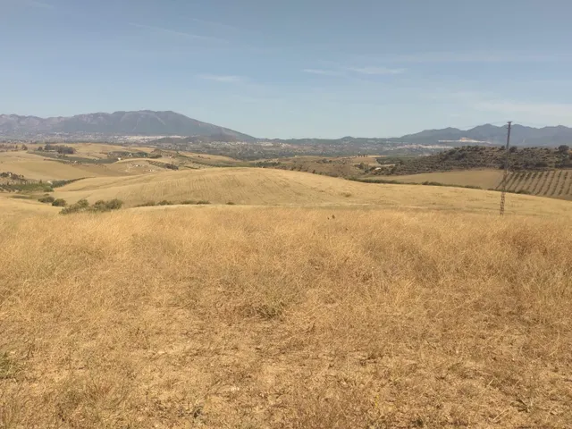 !!EN VENTA TERRENOS NO URBANIZABLES DE GRAN EXTENSIÓN!! — 7