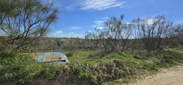 TERRENO EN COTO DE CAZA MENOR – CARRANQUE / EL VISO DE SAN J - foto 2