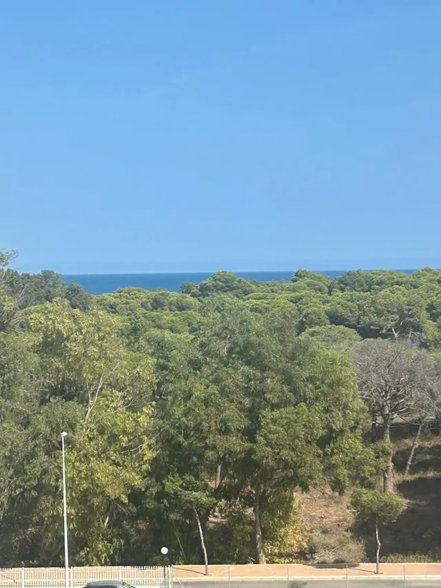 Apartamento con vistas al mar, piscina y garaje en Guardamar del Segura — 15