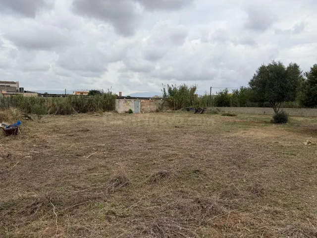 Parcela Rustica en Son Bonet. - foto 3