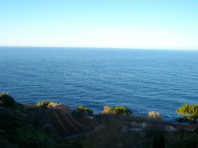 Terreno rural en venta - Banyalbufar - foto 4