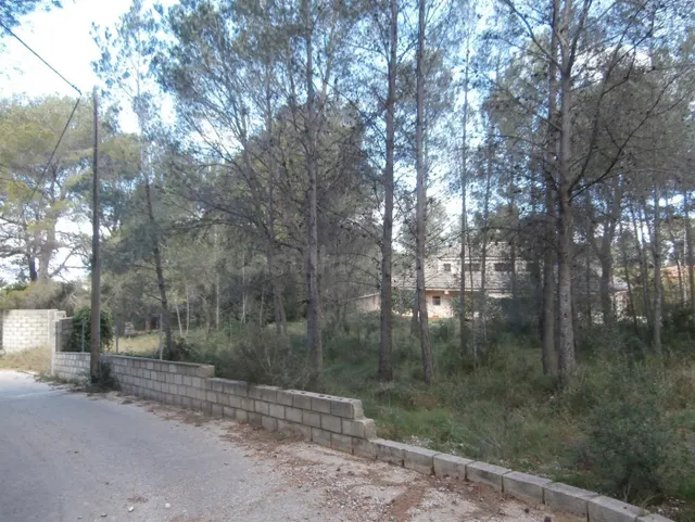 SUELO RUSTICO EN VENTA ZONA VALLETES DE BRU
