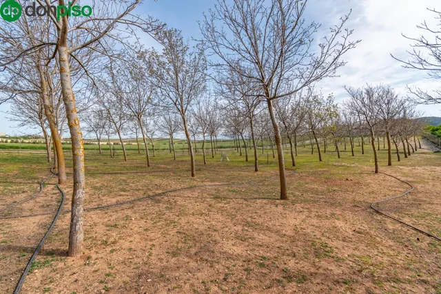 Finca rústica en venta con casa, nave y piscina - foto 3