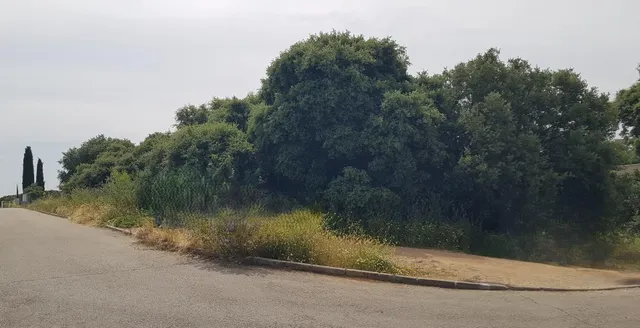 PARCELA DE ESQUINA EN PIOZ — 5