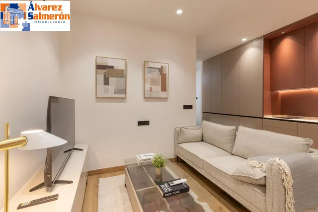 MODERNO ESTUDIO TIPO LOFT AMUEBLADO EN URBANIZACIÓN VILLA PINEDA - ZONA VILLAREJO — 7