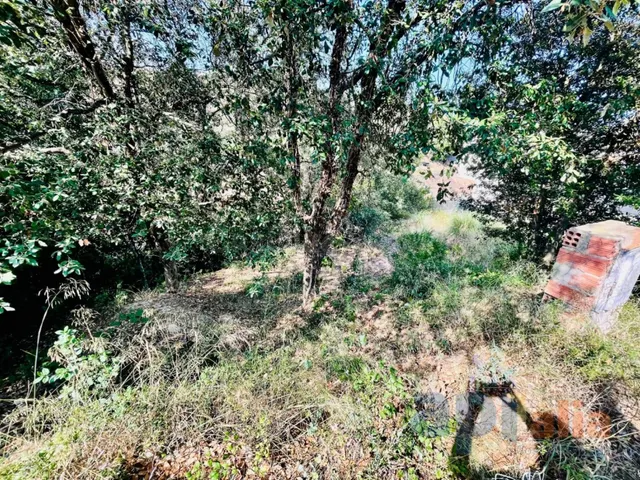 Parcela en Residencial Blanes de 403 m2 - foto 2