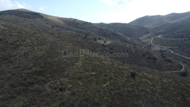 COTO DE CAZA - foto 5