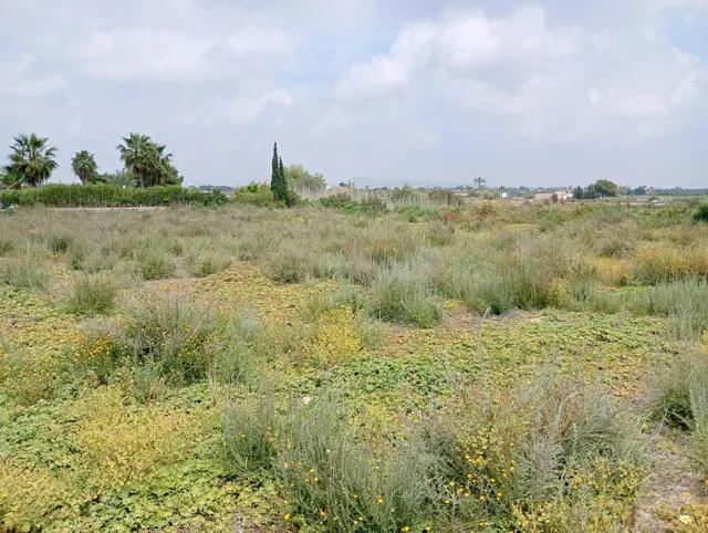 Terreno agrario con casa tipo albergue - foto 5