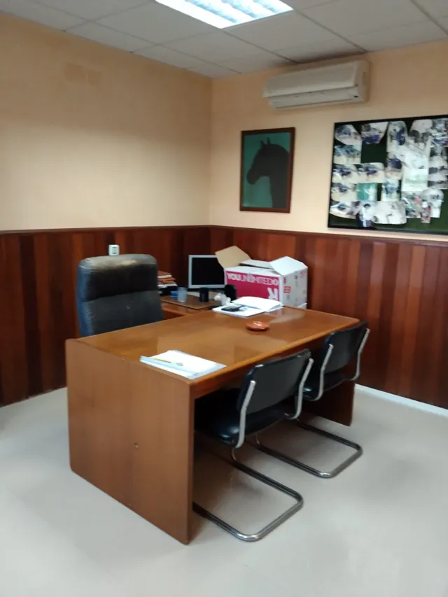 SE VENDE CHALET EN ZONA NORTE — 32