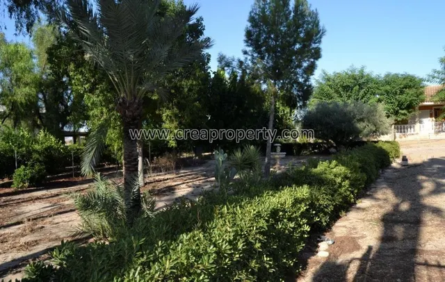 Excelente Finca con caballerizas en El Palmar (Murcia) - foto 4