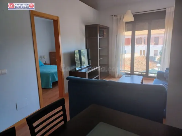 Apartamento amueblado de un dormitorio con calefacción por gas, aire acondicionado en habitación y salón, PLAZA DE GARAJE y trastero. Ubicado junto a Plaza del Arenal. — 4