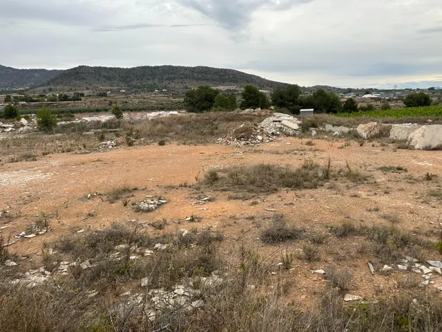 Terreno Rústico en venta - Crta. LA ROMANA — 8