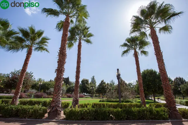Piso con terraza y gran potencial junto a Camino de Ronda — 32