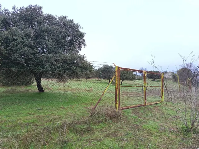 Parcela 5860m2 Urbana segregado para 25 Chalet + zona comerc - foto 3