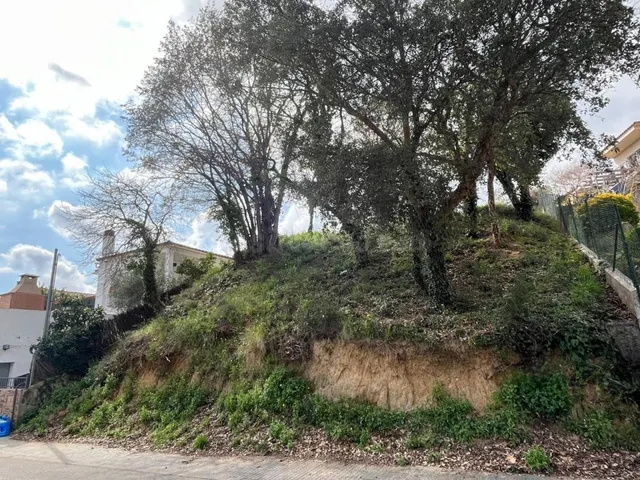 tu futura casa en sant daniel! — 4