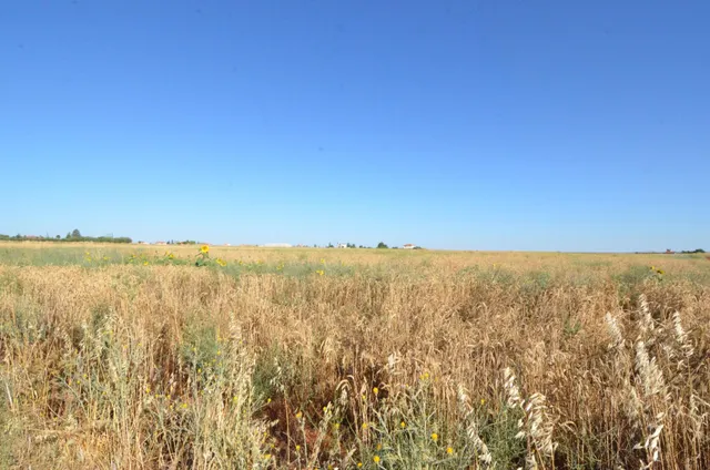 Urbis te ofrece un terreno en venta en Castellanos de Villiquera, Salamanca. — 6