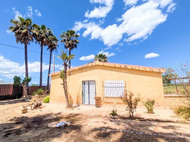 FINCA RÚSTICA VALLADA EN AMPOSTA ZONA ULLALS DE BALTASAR - foto 3