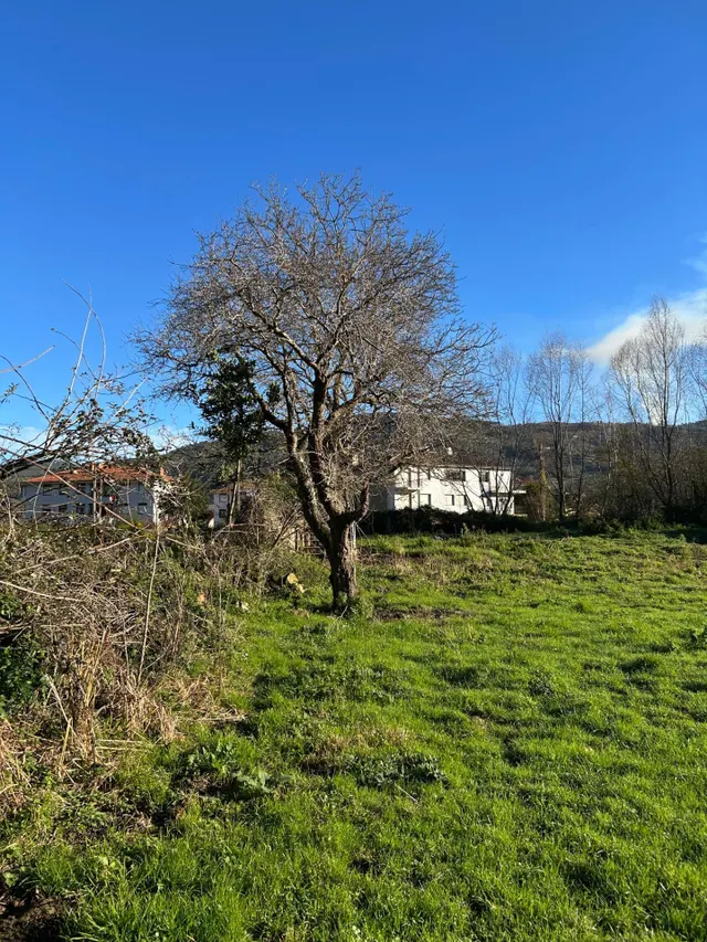 Gran terreno en Ampuero — 21