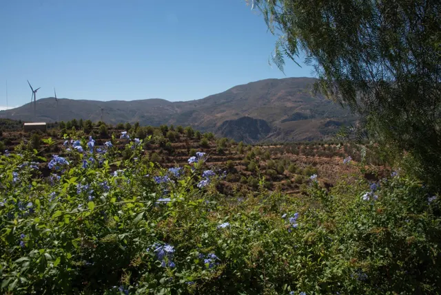 ENCANTADOR CORTIJO CON VISTAS PANORÁMICAS EN LANJARÓN — 22