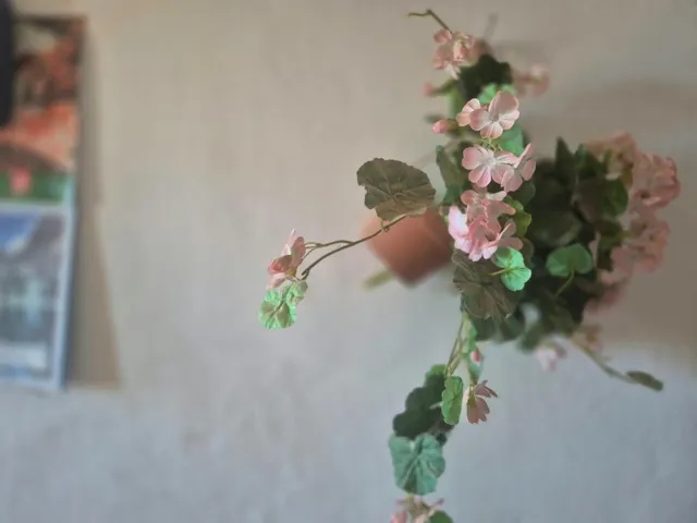 Casa de pueblo a reformar — 29