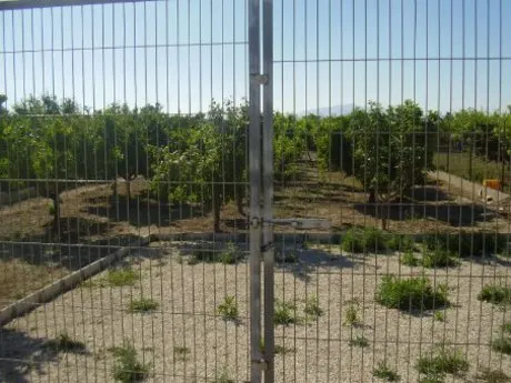 ++OCASION++TERRENO EN VENTA EN BUENA ZONA DE LA RIBERA DE MOLINA+ — 7