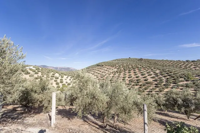 Casa rural en término de Montefrío. — 29