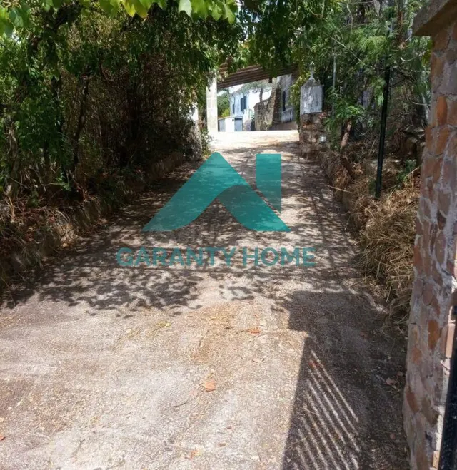 SE VENDE FINCA EN ZONA LA MONTAÑA - foto 3
