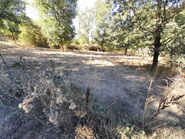 FINCA RUSTICA CON CASA DE APEROS EN CASTROPODAME — 20