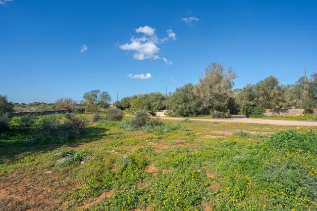 Finca de 124 hectáreas con vivienda en Puigderrós, Llucmajor. — 14