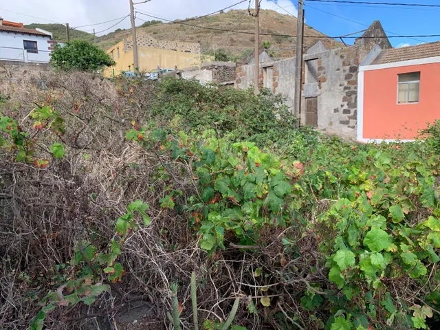 Casa con terreno y muchas posibilidades en El Hoyo del Barrio, El Hierro — 10