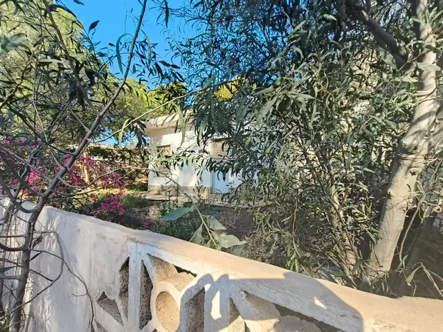 PARCELA CON EDIFICACION EN TODOSOL — 8